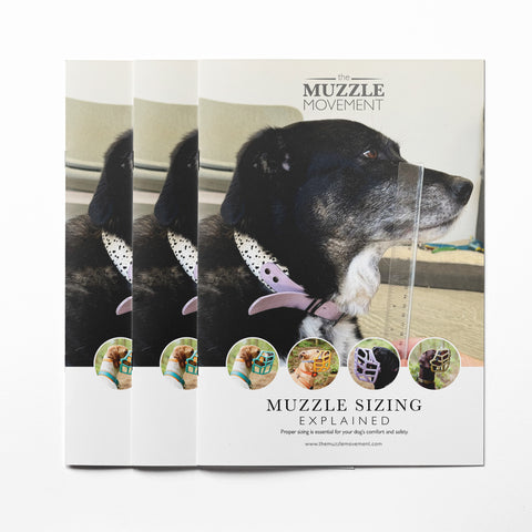 The Muzzle Movement - Muzzle sizing explained for Trade A5 leaflet