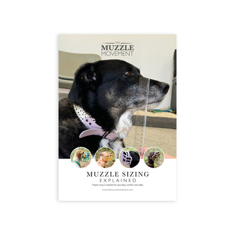 The Muzzle Movement - Muzzle sizing explained for Trade A5 leaflet