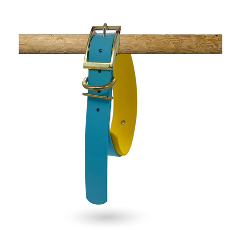 Baby blue Muzzle, Collar & Lead Set