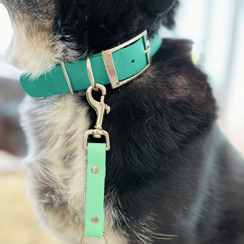 Collar Attachment