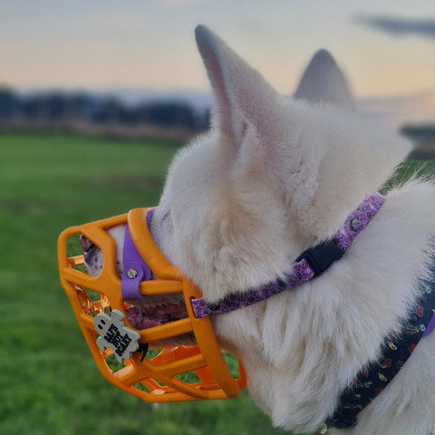 Snooties™ – Muzzle Charm