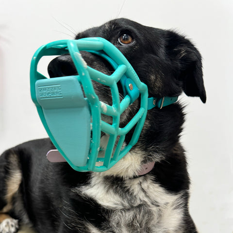 Scavenger Guard