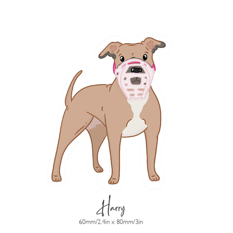 Size Harry original - Made to order muzzle with colour customisation