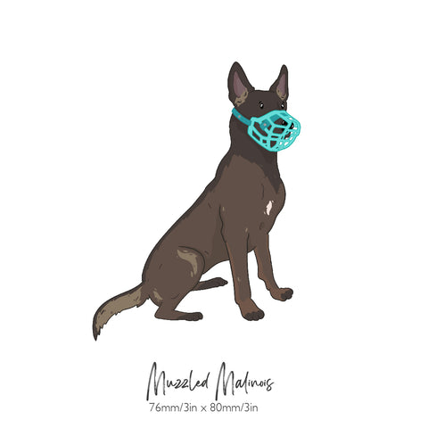 Muzzled Malinois sticker