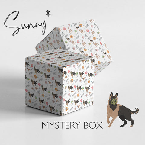 Mystery Dog Muzzle - Shipped in 1 working day