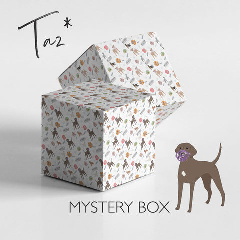 Mystery Dog Muzzle - Shipped in 1 working day