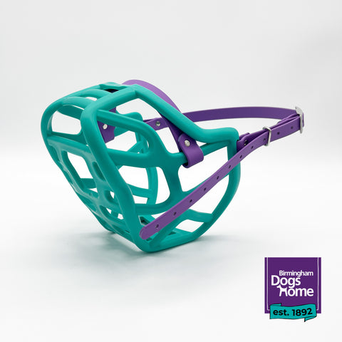 Charity Colour Muzzle – Birmingham Dogs Home - Ready to Ship