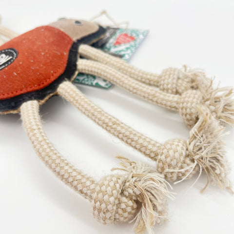 Green & Wild's | Spike the Spider, Eco Dog Toy