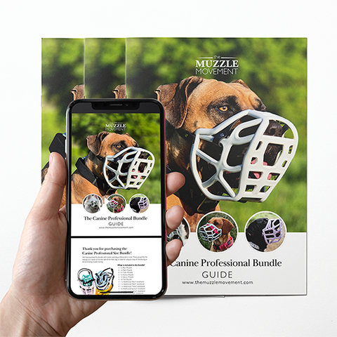 How to use your Canine professional Bundle Download