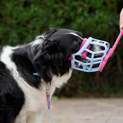 Size Neli Dog Muzzle - Made to order muzzle with colour customisation