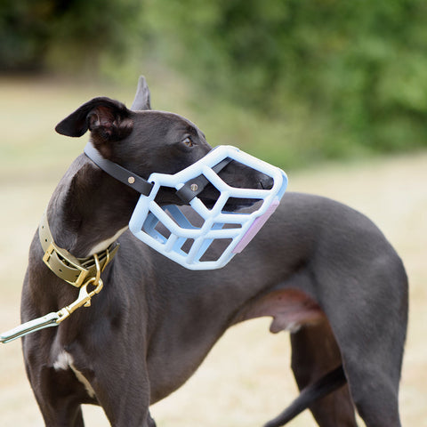 Size Rex Dog Muzzle - Made to order muzzle with colour customisation