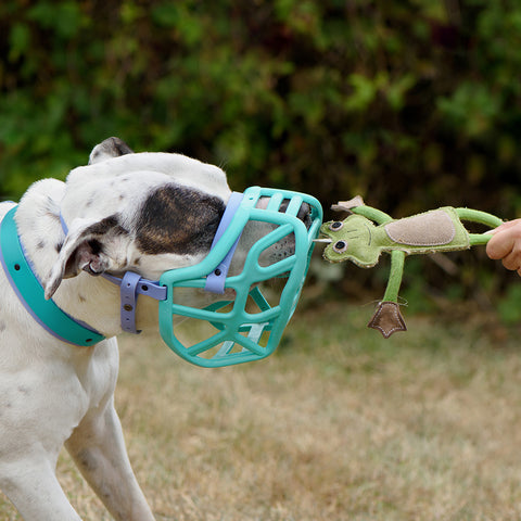Green & Wild's | Francois le Frog, Eco Dog Toy