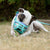 Size Harry 2.0 Dog Muzzle - Made to order muzzle with colour customisation