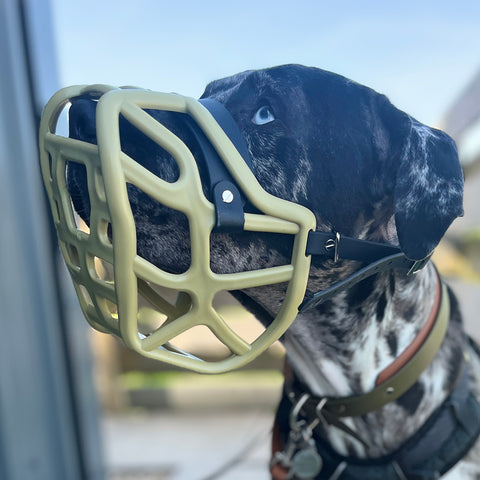 Size Harry 2.0 Pre Order - Made to order muzzle with colour customisation *NEW* updated version