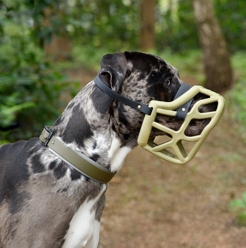 Size Harry original - Made to order muzzle with colour customisation