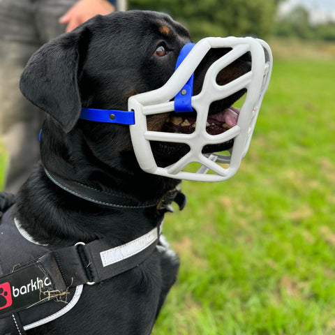 Size Harry original - Made to order muzzle with colour customisation