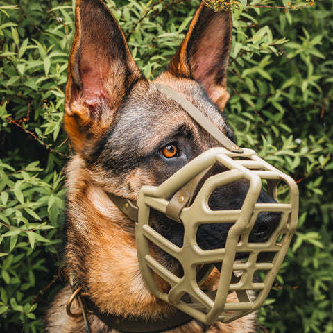Size Taz - Made to order muzzle with colour customisation