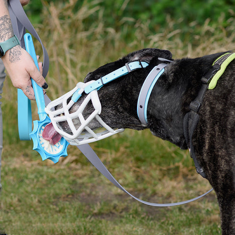 SodaPup Dogs | Lick Stick Hand-Held Interactive Enrichment Toys