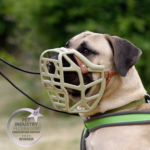 Size Mitzy Dog Muzzle - Made to order muzzle with colour customisation