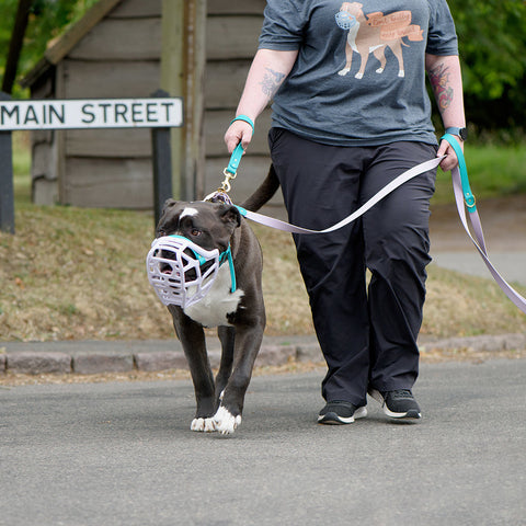 Size Mitzy Dog Muzzle - Made to order muzzle with colour customisation