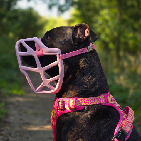Size Mitzy - Made to order muzzle with colour customisation