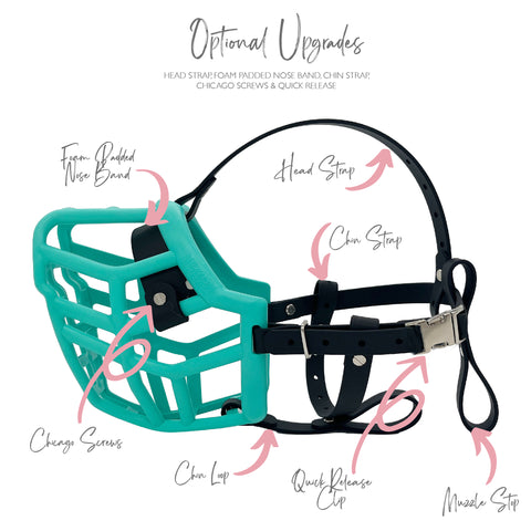 The Muzzle Movement Neli muzzle in teal with black strapping with optional upgrades 