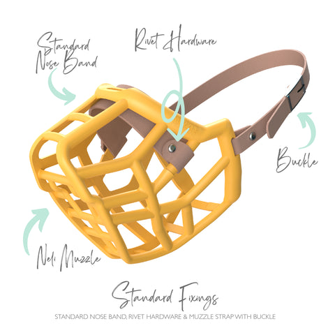 Orange Neli with light brown biothane strapping standard fixings 