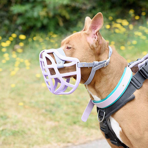 Précommande du Muzzle Movement Size Pippa pour le commerce - L'expédition est prévue à partir du 8 décembre 2025