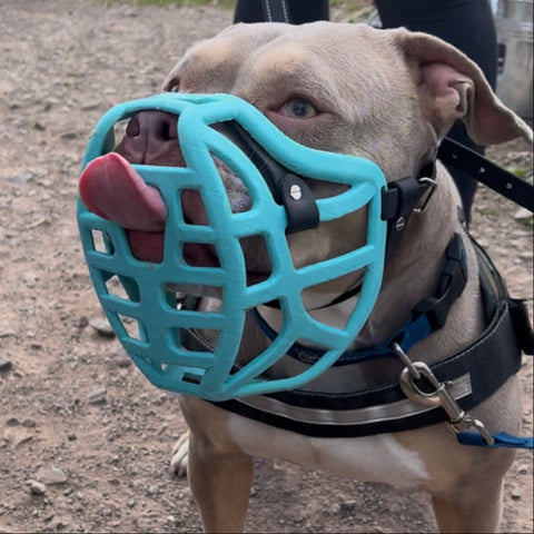 Précommande du Muzzle Movement Size Pippa pour le commerce - L'expédition est prévue à partir du 8 décembre 2025