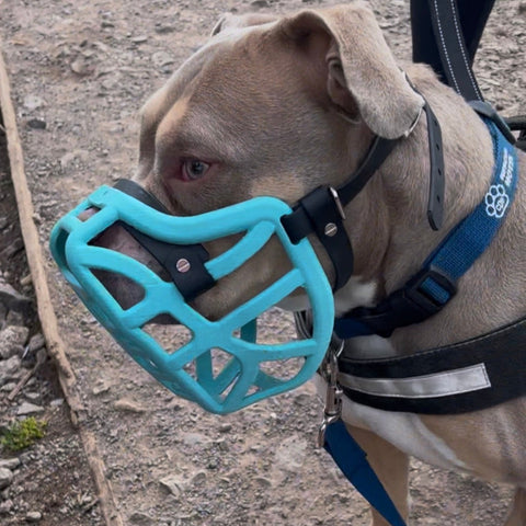 Précommande du Muzzle Movement Size Pippa pour le commerce - L'expédition est prévue à partir du 8 décembre 2025