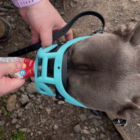 Précommande du Muzzle Movement Size Pippa pour le commerce - L'expédition est prévue à partir du 8 décembre 2025