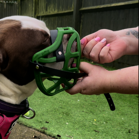 Précommande du Muzzle Movement Size Pippa pour le commerce - L'expédition est prévue à partir du 8 décembre 2025