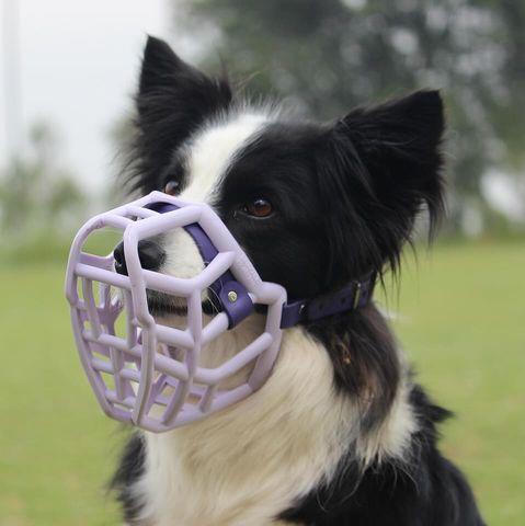 Size Rex - Made to order muzzle with colour customisation