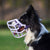 The Muzzle Movement Rex Lilac collie violet biothane strapping