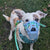 The Muzzle Movement Rex muzzle blue with Scavenger guard