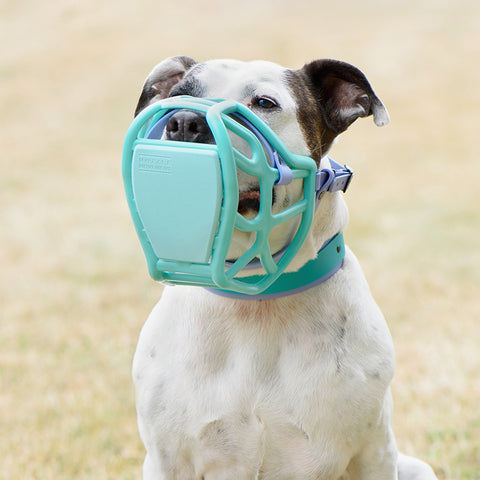Scavenger Guard