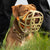Size Harry 2.0 Pre Order - Made to order muzzle with colour customisation *NEW* updated version