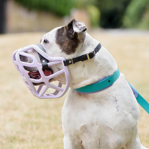 The Muzzle Movement Size Harry Dog Muzzle 2.0 for Trade