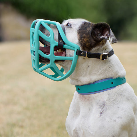 The Muzzle Movement Size Harry Dog Muzzle 2.0 for Trade