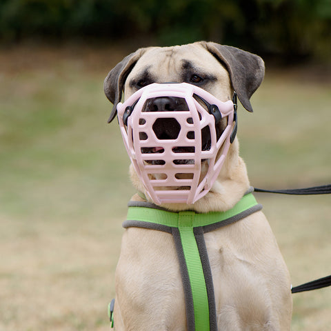 The Muzzle Movement Size Mitzy Dog Muzzle for Trade