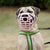 The Muzzle Movement Size Mitzy Dog Muzzle for Trade