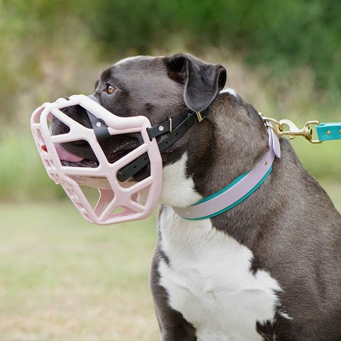 The Muzzle Movement Size Mitzy Dog Muzzle for Trade