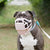 The Muzzle Movement Size Mitzy Dog Muzzle for Trade