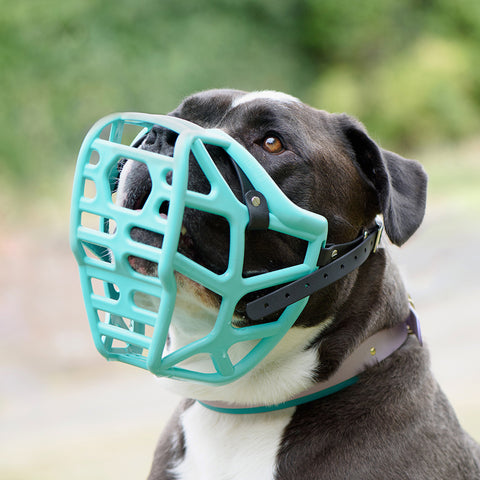 The Muzzle Movement Size Mitzy Dog Muzzle for Trade