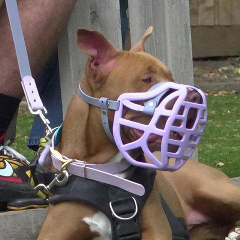 Précommande du Muzzle Movement Size Pippa pour le commerce - L'expédition est prévue à partir du 8 décembre 2025