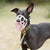 The Muzzle Movement Size Rex Dog Muzzle for Trade
