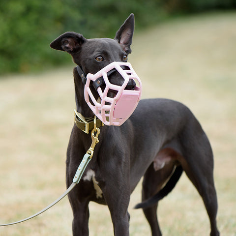 The Muzzle Movement Size Rex Dog Muzzle for Trade