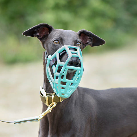 The Muzzle Movement Size Rex Dog Muzzle for Trade