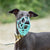 The Muzzle Movement Size Rex Dog Muzzle for Trade
