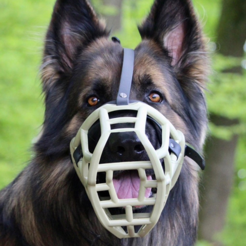 Size Sunny - Made to order muzzle with colour customisation